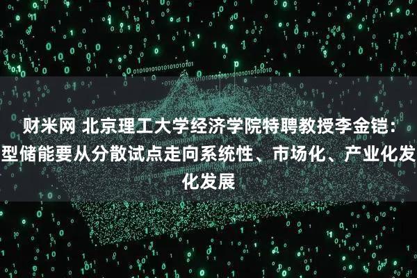 财米网 北京理工大学经济学院特聘教授李金铠：新型储能要从分散试点走向系统性、市场化、产业化发展