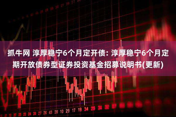 抓牛网 淳厚稳宁6个月定开债: 淳厚稳宁6个月定期开放债券型证券投资基金招募说明书(更新)