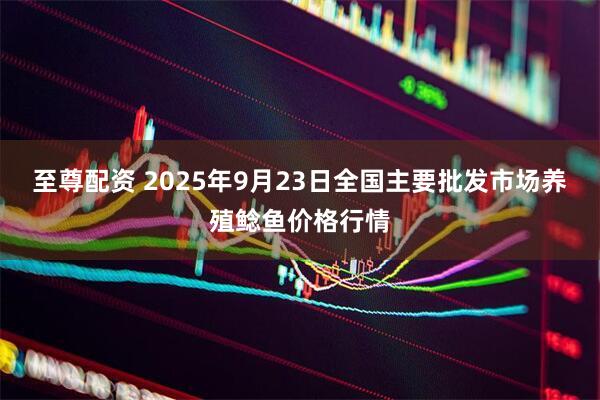至尊配资 2025年9月23日全国主要批发市场养殖鲶鱼价格行情