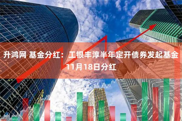 升鸿网 基金分红：工银丰淳半年定开债券发起基金11月18日分红